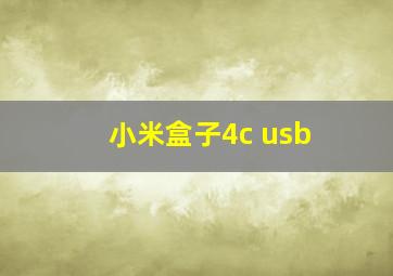 小米盒子4c usb